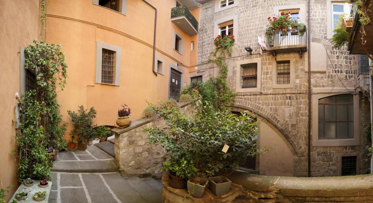 Ferienwohnung La Rosa Scarlatta Viterbo Exterior foto