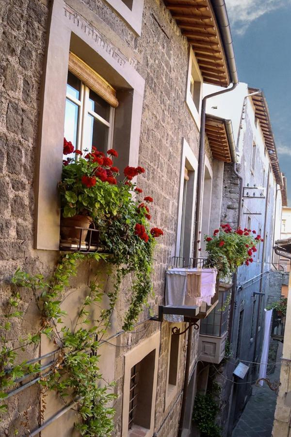 Ferienwohnung La Rosa Scarlatta Viterbo Exterior foto
